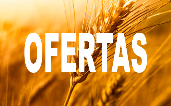 Ofertas